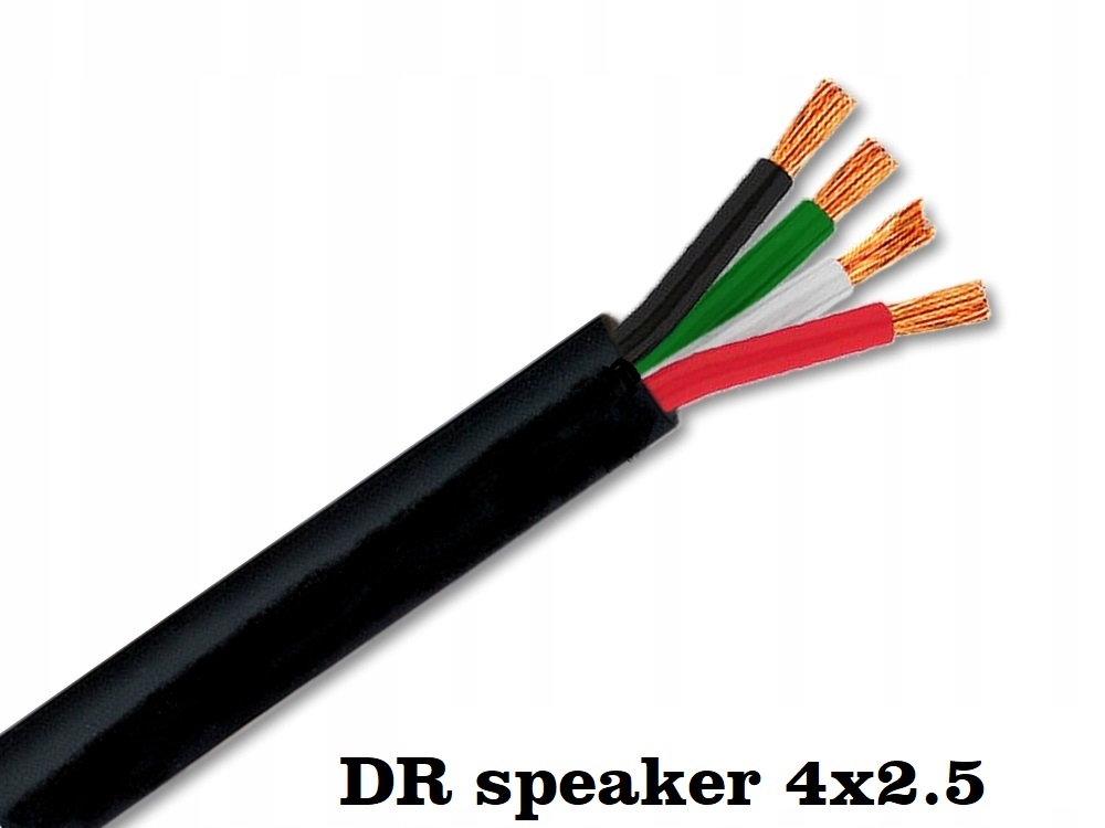 DR speaker 4x2.5.jpg